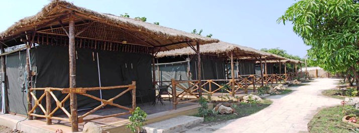 929/The Fern Gir Forest Resort - Gir National Park 10.jpg